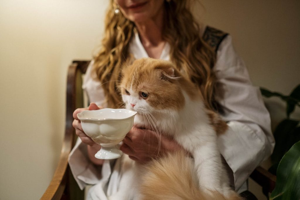 Listing des laboratoires proposant des compléments alimentaires pour chats en marque blanche